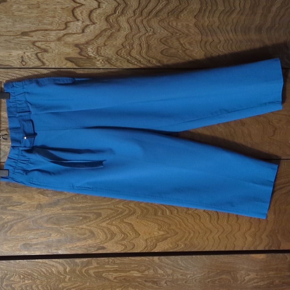 Zara XS Vibrant Blue Dress Pants